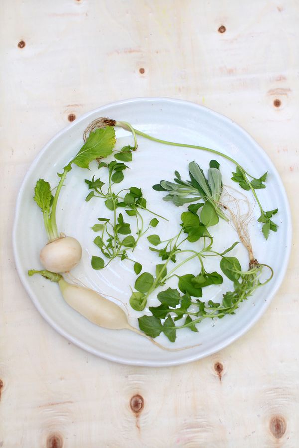 Eat Nanakusa-Gayu (Seven Herb Rice Porridge) on the 7th January to Refresh Your System